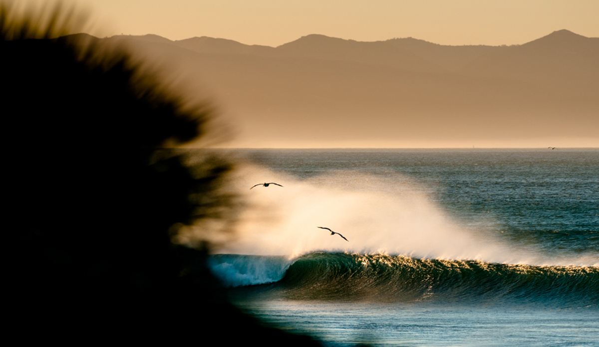 Lefts in the early morning. Photo: <a href=\"https://abowlin.wix.com/andybowlinphoto\"> Andy Bowlin</a>