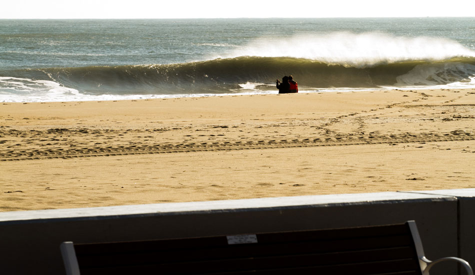 Lots of empties. Photo: <a href=\"https://nickdennyphotography.tumblr.com/\" target=_blank>Nick Denny</a>