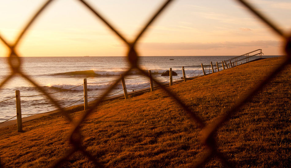 The lineup through the fence. Photo: <a href=\"https://mikeincitti.com/\" target=_blank>Mike Incitti.</a>