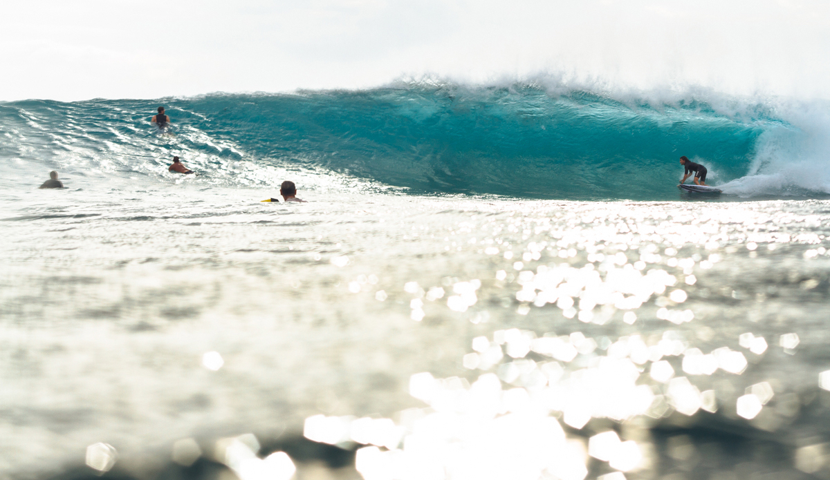 Adam Bennetts. Photo: <a href=\"https://instagram.com/haydenoneill\">Hayden O\'Neill</a>