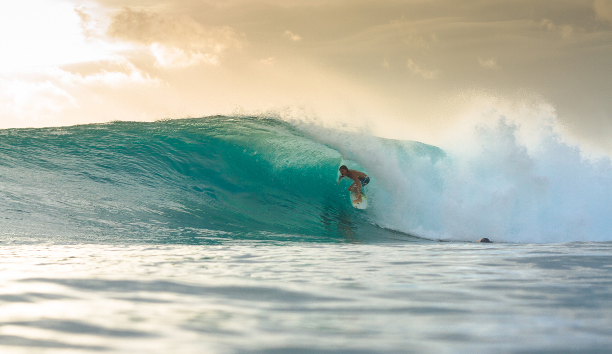 Alex Smith. Photo: <a href=\"https://instagram.com/haydenoneill\">Hayden O\'Neill</a>