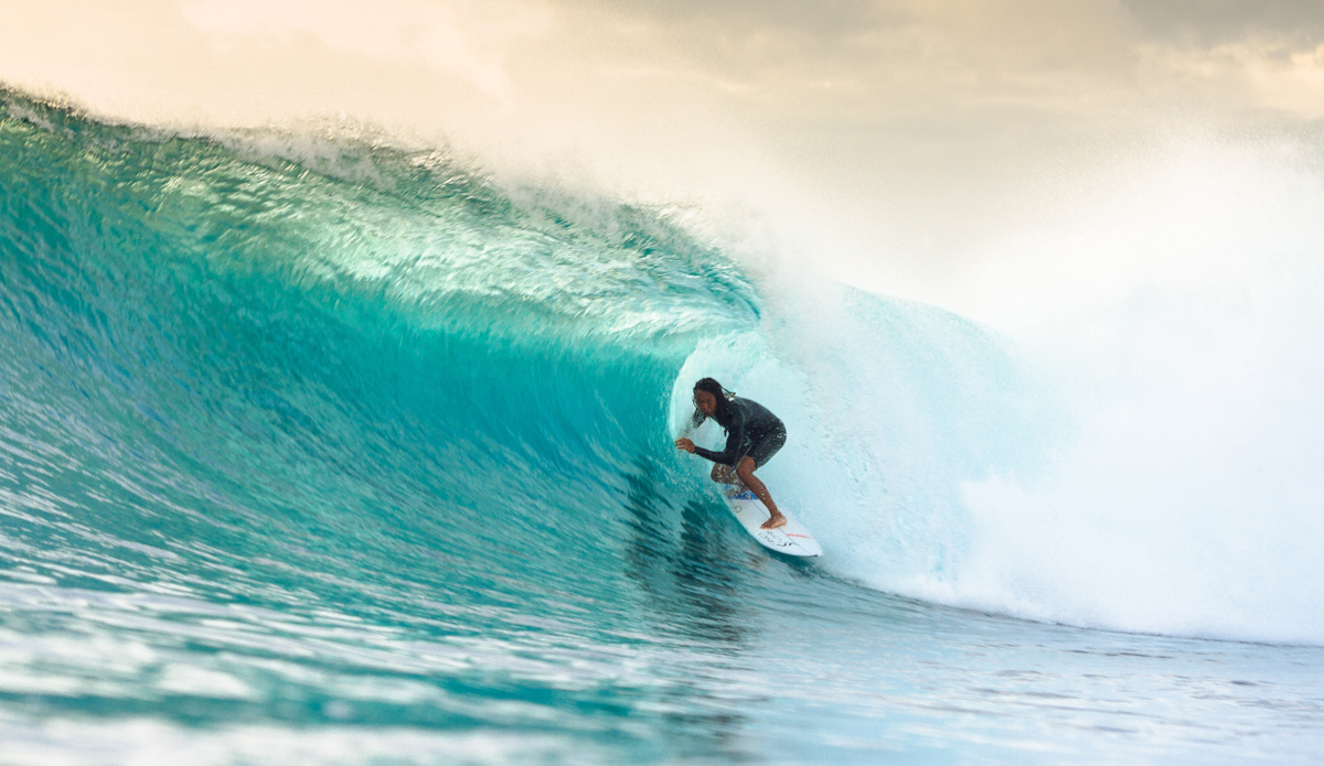 Da Guy. Photo: <a href=\"https://instagram.com/haydenoneill\">Hayden O\'Neill</a>