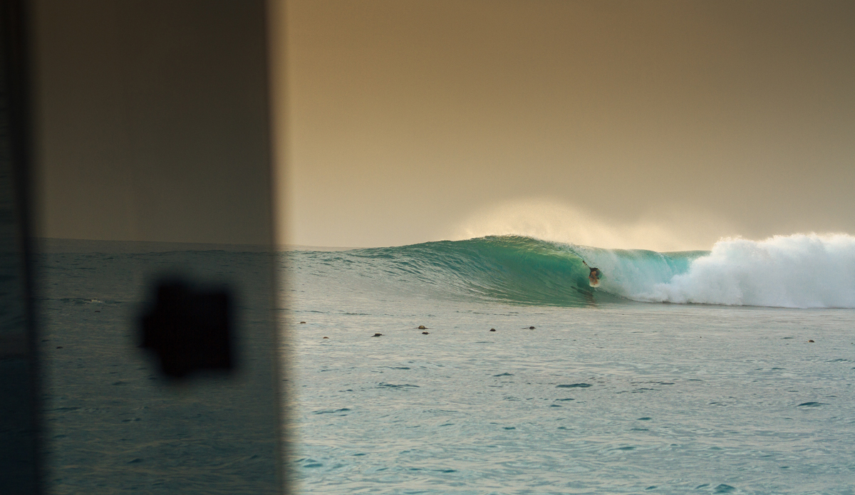 Chris Binns. Photo: <a href=\"https://instagram.com/haydenoneill\">Hayden O\'Neill</a>