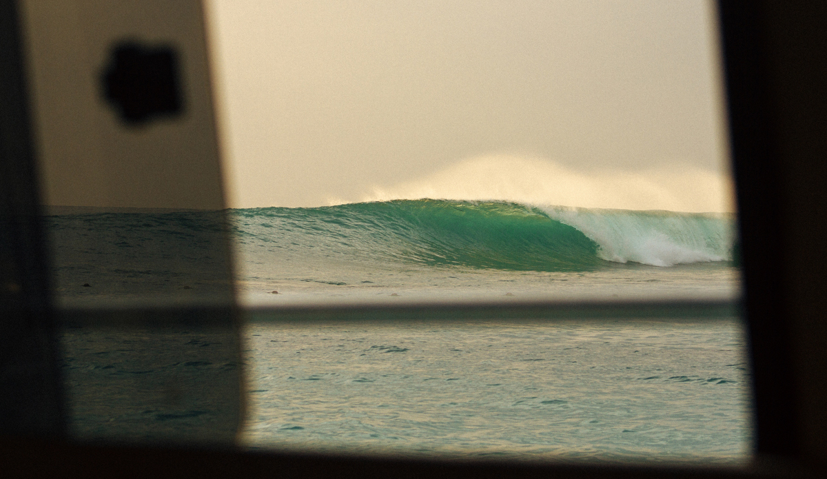 Photo: <a href=\"https://instagram.com/haydenoneill\">Hayden O\'Neill</a>