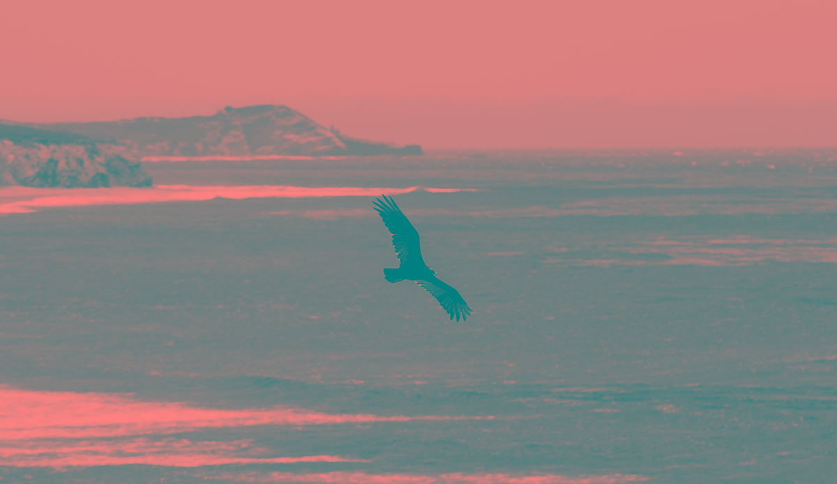 Local. Photo: <a href=\"https://www.corygehrphoto.com/\">Cory Gehr Photography</a>