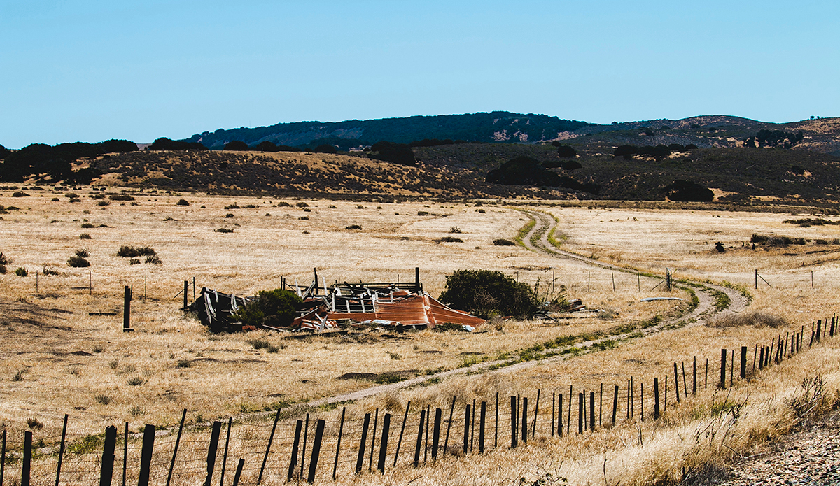 Not LA. Photo: <a href=\"https://www.corygehrphoto.com/\">Cory Gehr Photography</a>