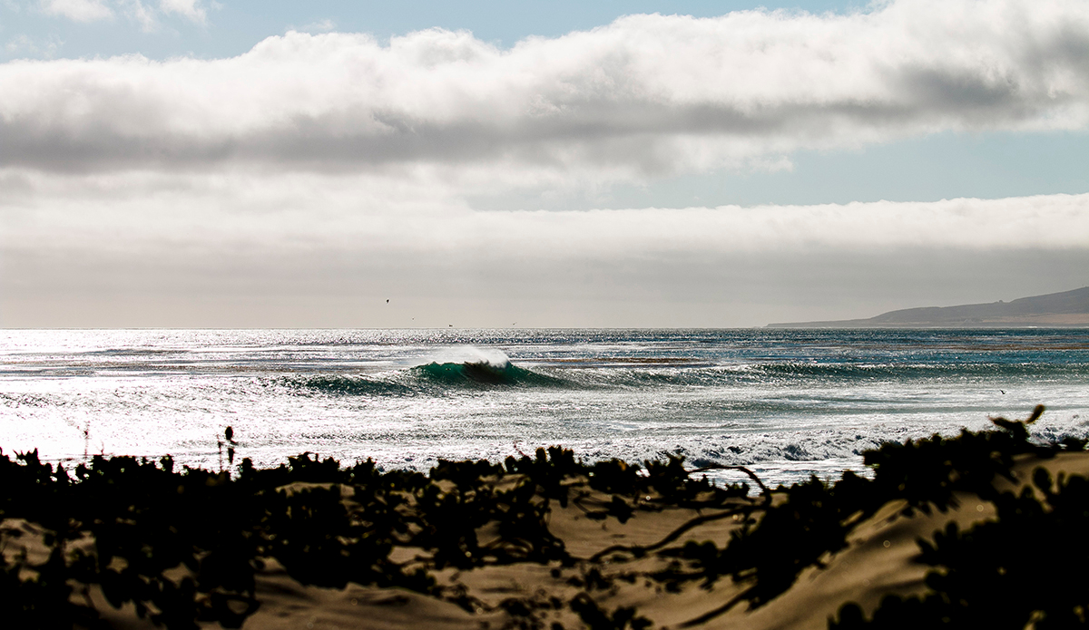 A beach break peak.  Photo: <a href=\"https://www.corygehrphoto.com/\">Cory Gehr Photography</a>