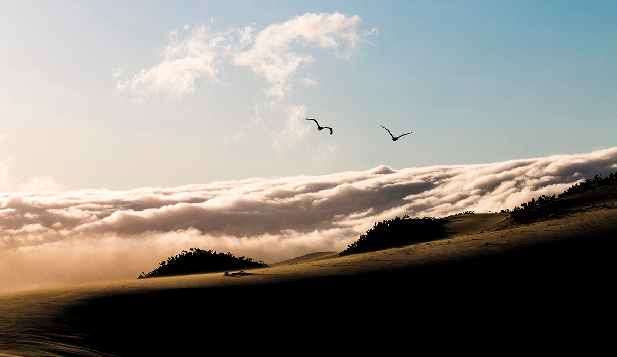Took this from the table at our campsite. My cloud fetish was going off.  Photo: <a href=\"https://www.corygehrphoto.com/\">Cory Gehr Photography</a>