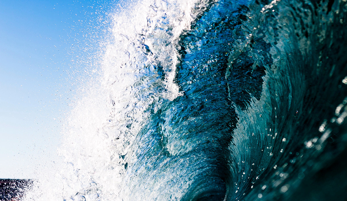 Glass. Photo: <a href=\"https://www.corygehrphoto.com/\">Cory Gehr Photography</a>