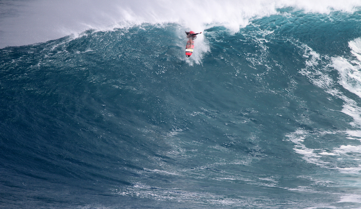 Albee Layer. Photo: Aaron Lynton