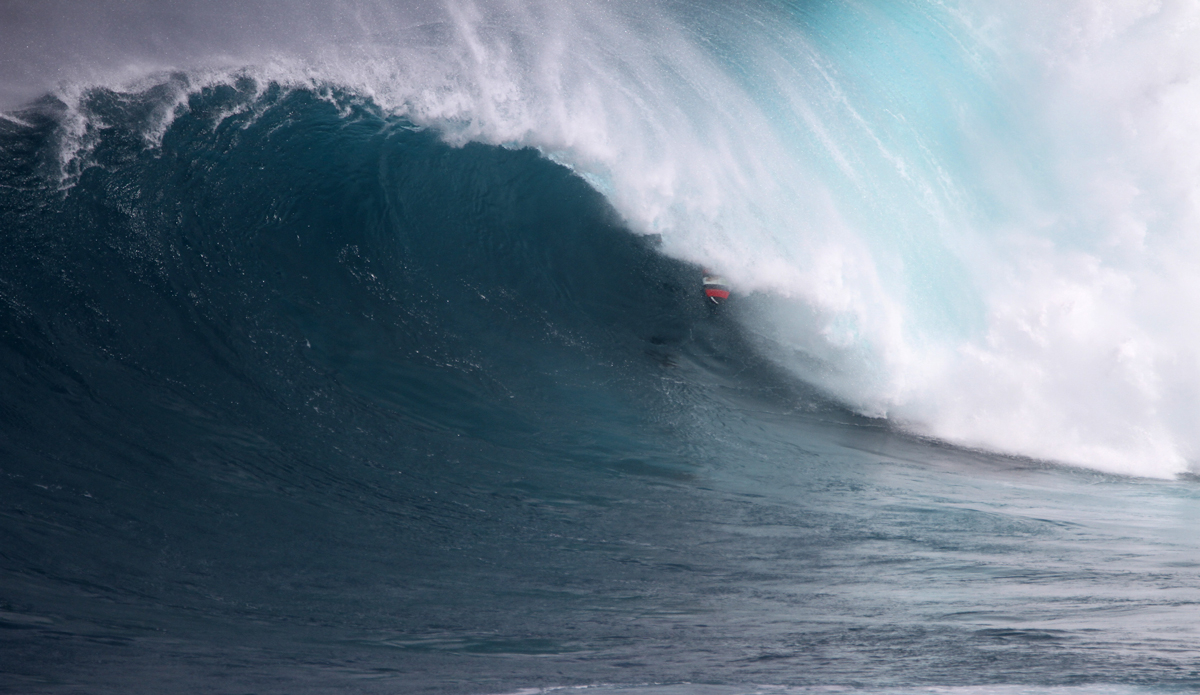 Albee Layer. Photo: Aaron Lynton