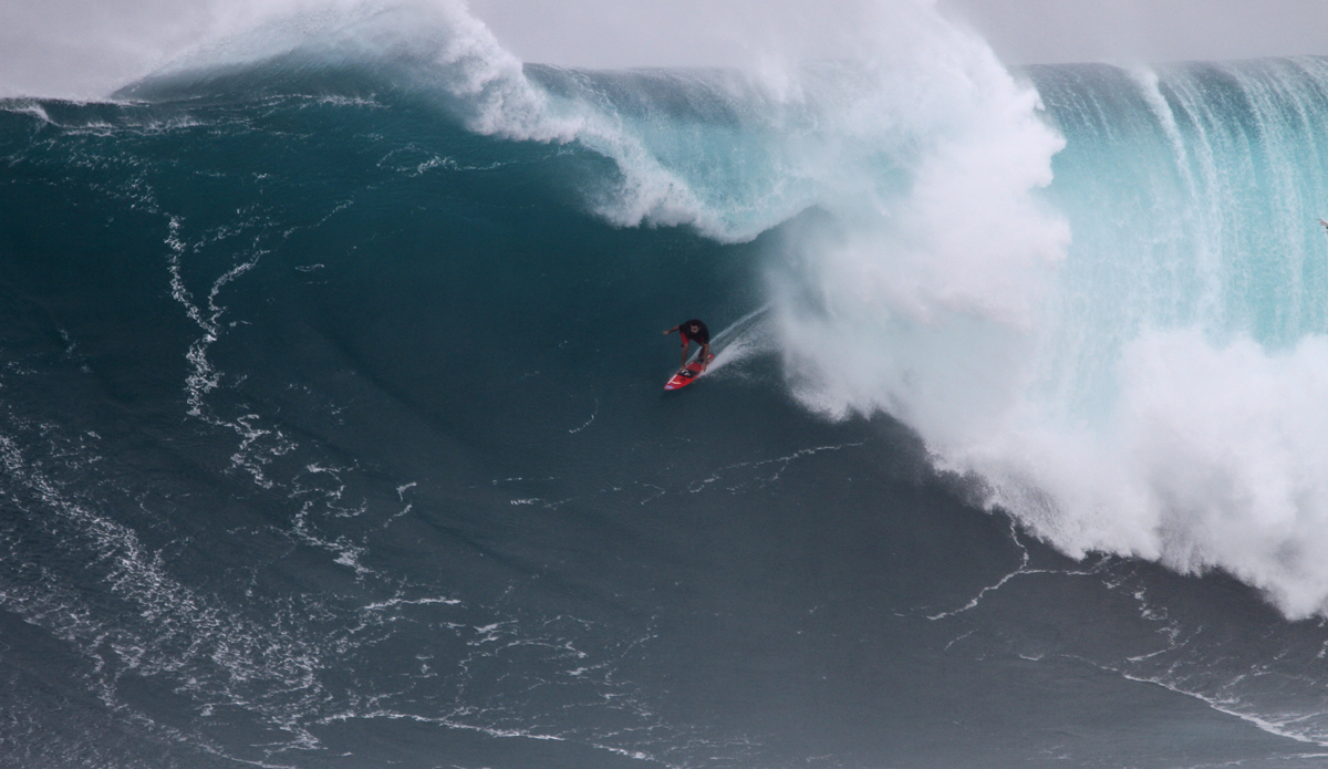Francisco Porcella. Photo: Aaron Lynton