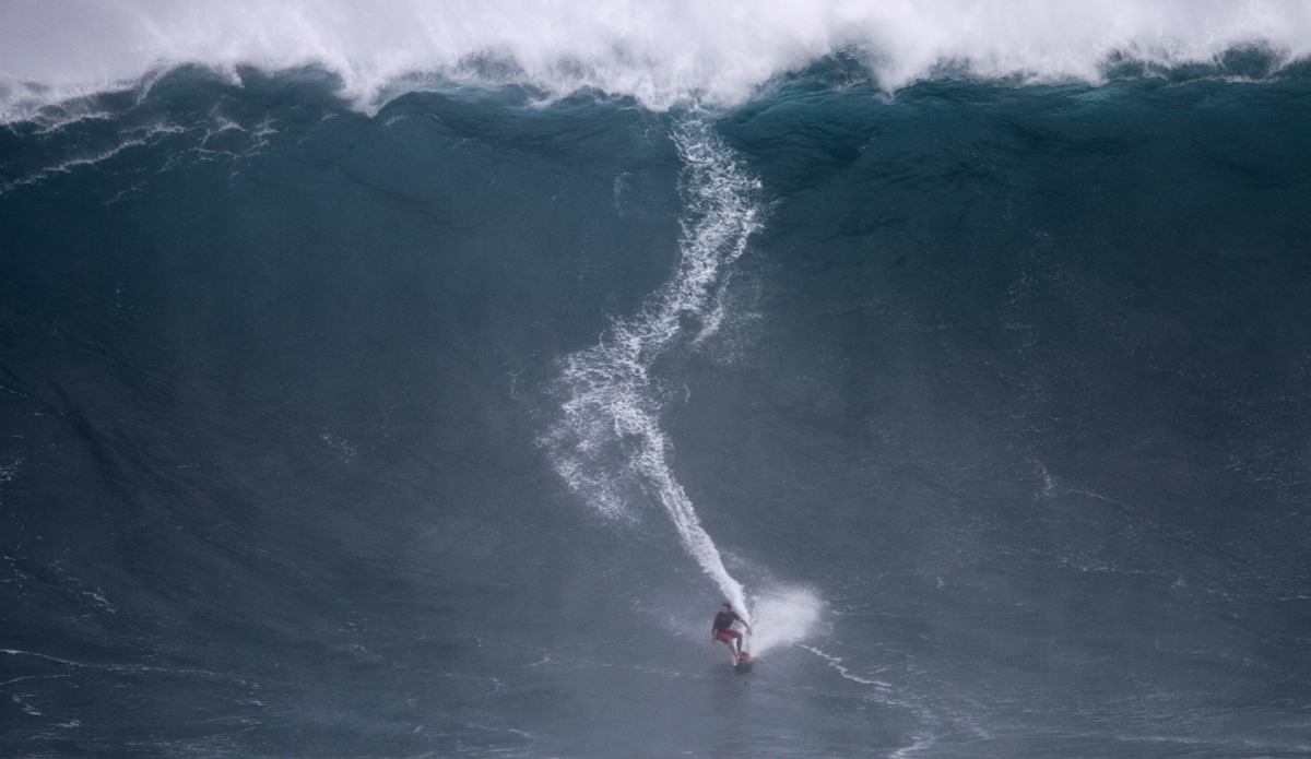 Francisco Porcella. Photo: Aaron Lynton