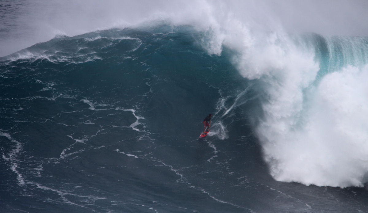 Francisco Porcella. Photo: Aaron Lynton