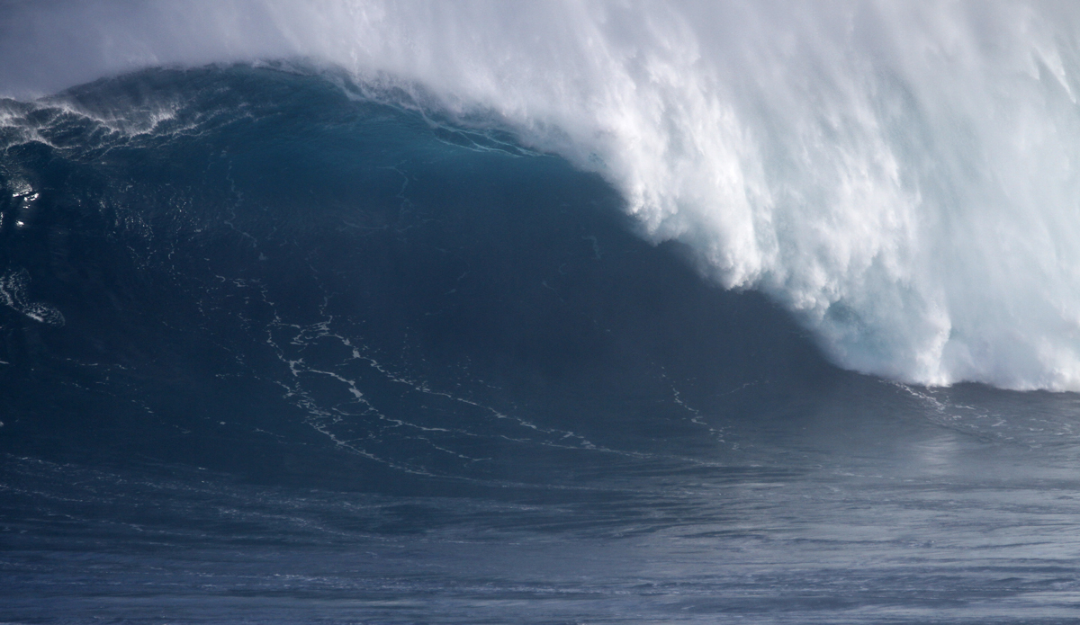 Jaws shows its teeth. Photo: Aaron Lynton