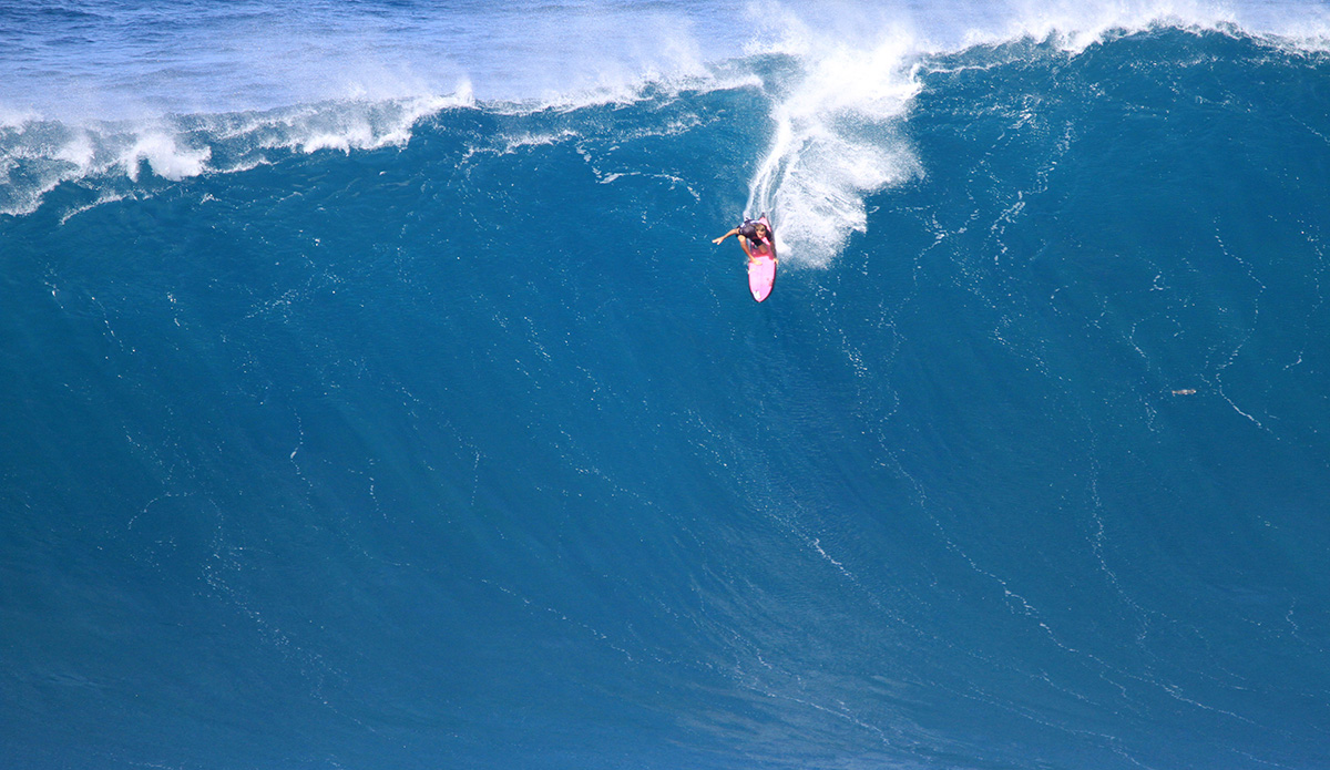 Tom Lowe. Photo: <a href=\"https://aaronlynton.com/\"> Aaron Lynton</a>