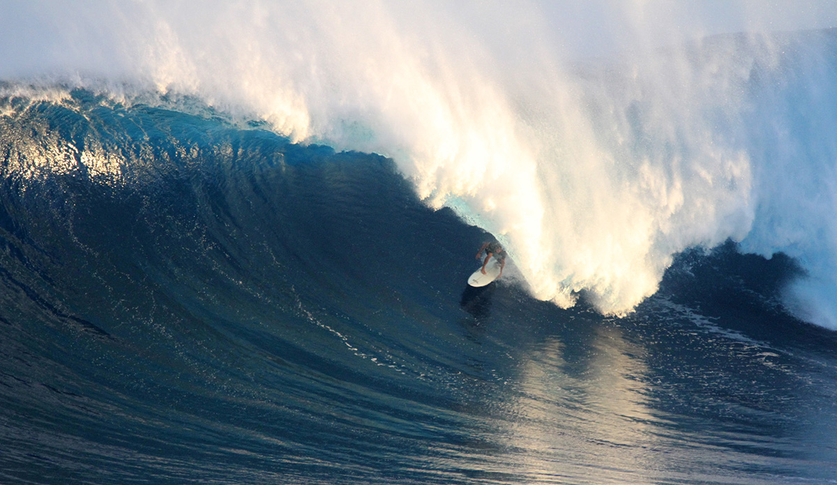 Francisco Porcella. Photo: <a href=\"https://aaronlynton.com/\"> Aaron Lynton</a>