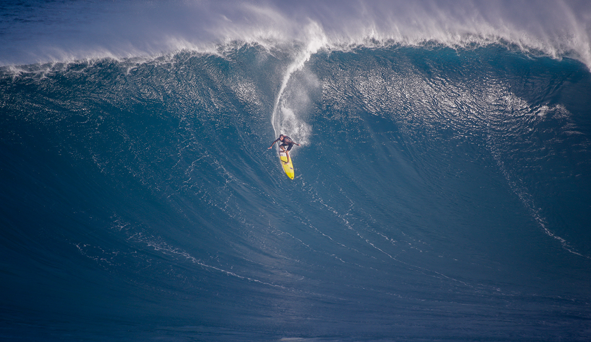 Albee Layer. 
Photo: Aaron Lynton