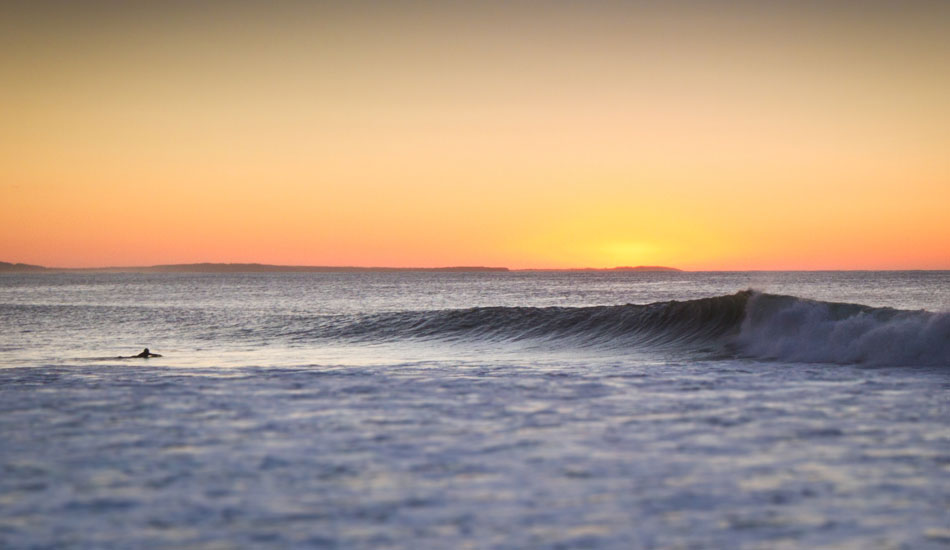 Early worm. Photo: <a href=\"https://www.acornart.net\">Adam Cornick</a>