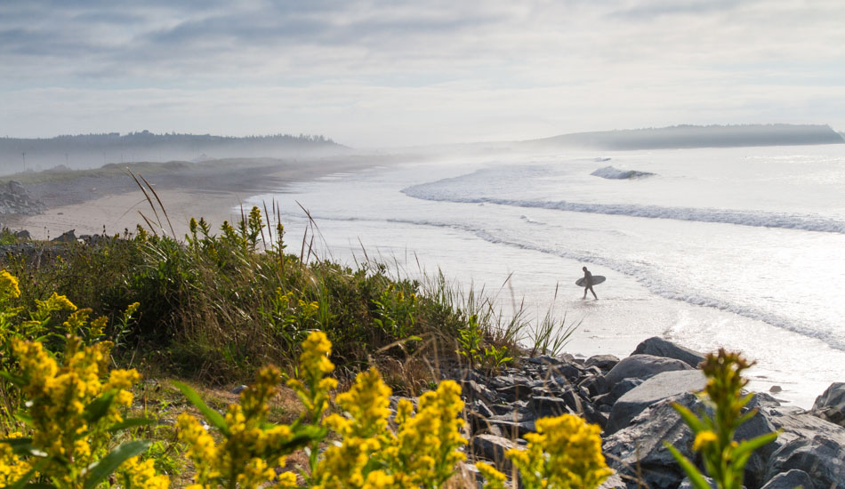 Feeling good. Photo: <a href=\"https://www.acornart.net\">Adam Cornick</a>