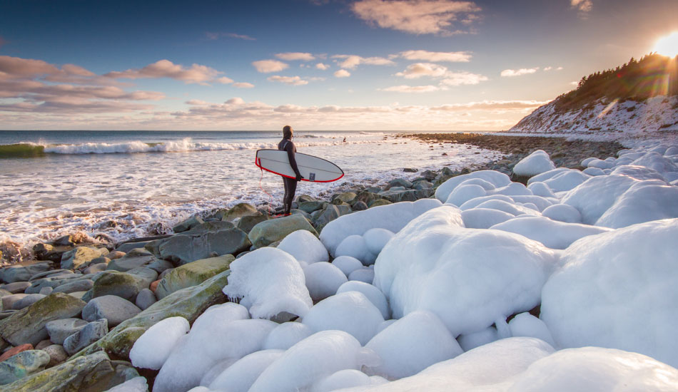 Sugar coated. Photo: <a href=\"https://www.acornart.net\">Adam Cornick</a>