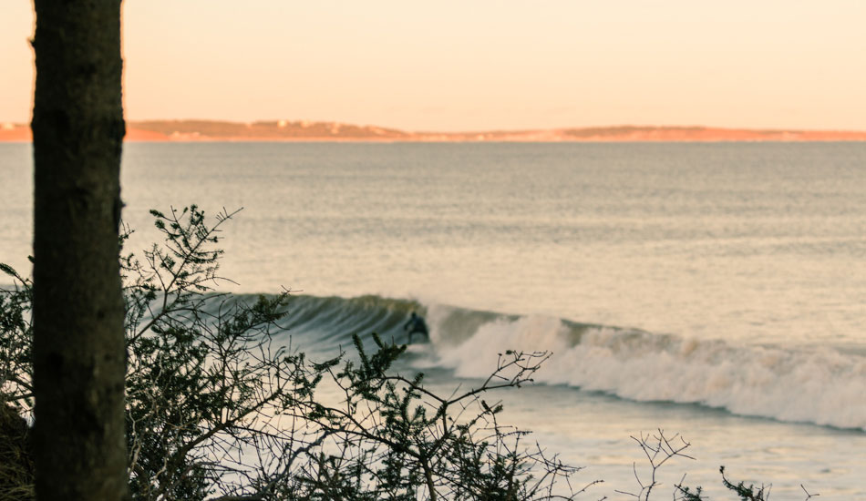 In the shadows. Photo: <a href=\"https://www.acornart.net\">Adam Cornick</a>