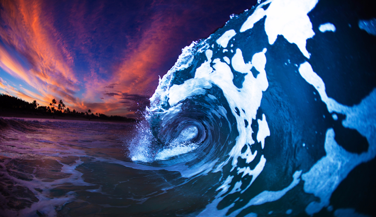 Animal. Photo: <a href=\"https://adamduffyphotography.com\">Adam Duffy Photography</a>