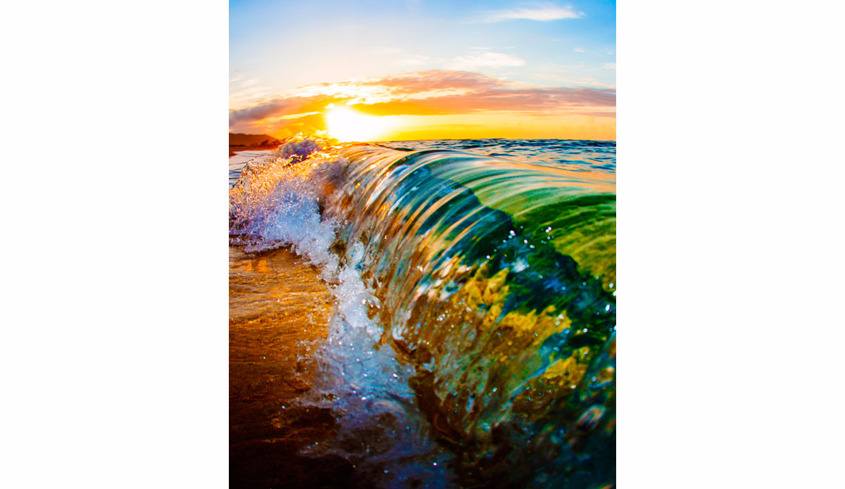 Micro. Photo: <a href=\"https://adamduffyphotography.com\">Adam Duffy Photography</a>