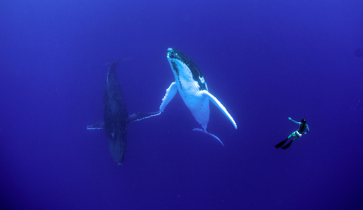 Follow me. Photo: <a href=\"https://adamduffyphotography.com\">Adam Duffy Photography</a>