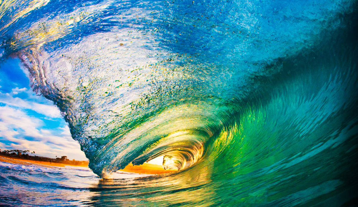 Metallic lustre. Photo: <a href=\"https://adamduffyphotography.com\">Adam Duffy Photography</a>