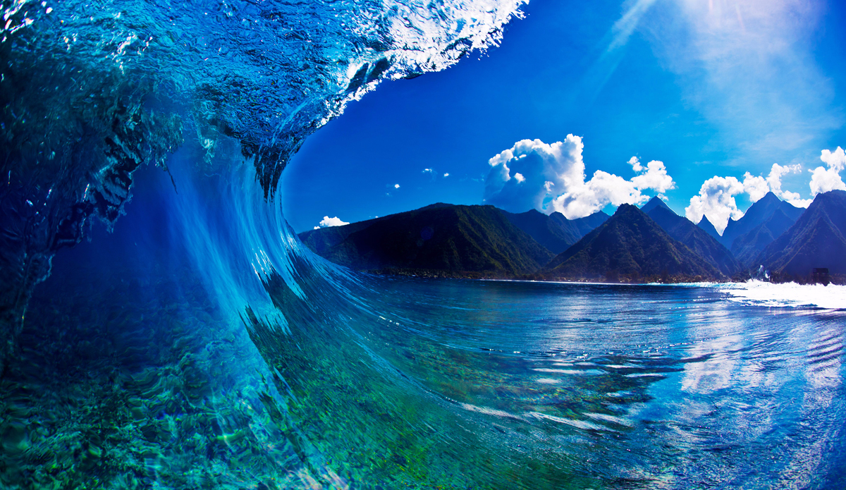 Perfect view. Photo: <a href=\"https://adamduffyphotography.com\">Adam Duffy Photography</a>