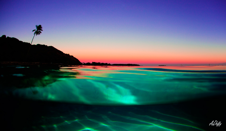 Tranquility. Photo: <a href=\"https://adamduffyphotography.com/\">Adam Duffy.</a>