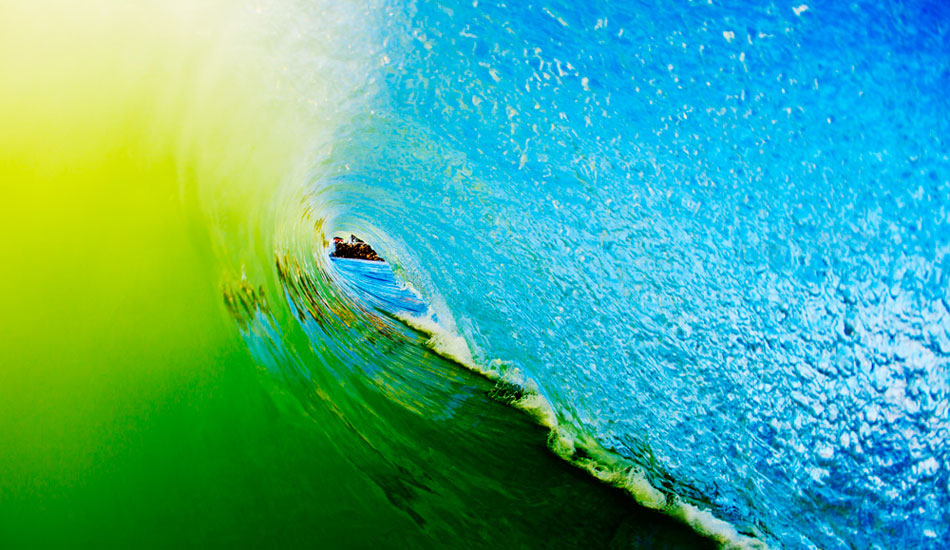 Mellow Yellow. Photo: <a href=\"https://adamduffyphotography.com/\">Adam Duffy.</a>