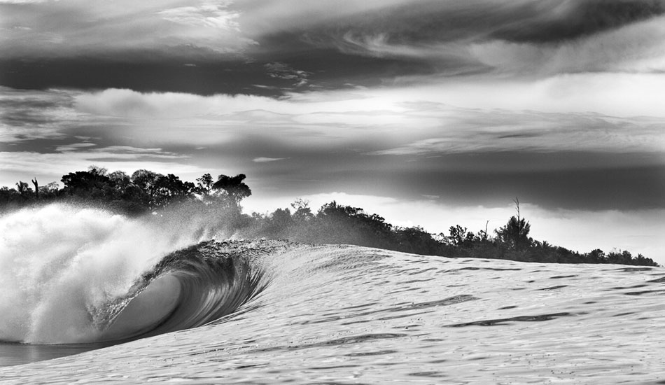 Gunmetal. Photo: <a href=\"https://www.adamwarmington.com/\">Adam Warmington.</a>