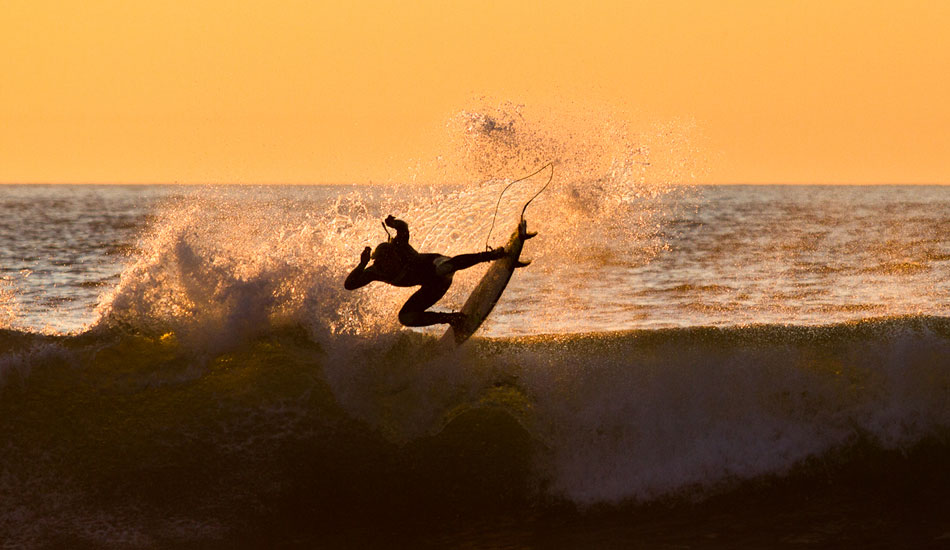 Orange and black. Photo: <a href=\"https://www.adamwarmington.com/\">Adam Warmington.</a>