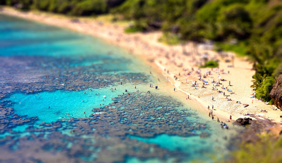 Tiltshifting tourists. Photo: <a href=\"https://www.adamwarmington.com/\">Adam Warmington.</a>