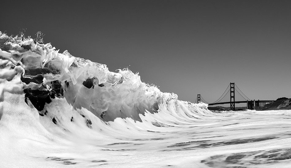 Body whomp. Photo: <a href=\"https://www.adamwarmington.com/\">Adam Warmington.</a>