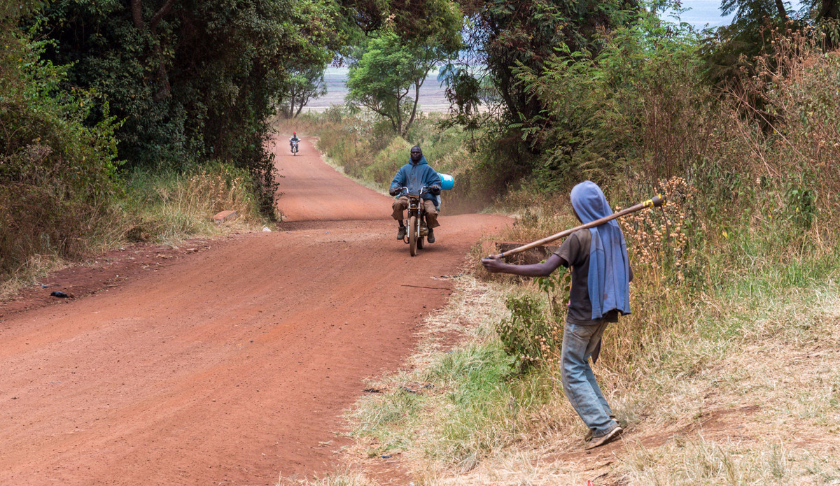 Local living at the bottom. Photo: <a href=\"https://charlesaudet.com/\">Charles Audet</a>