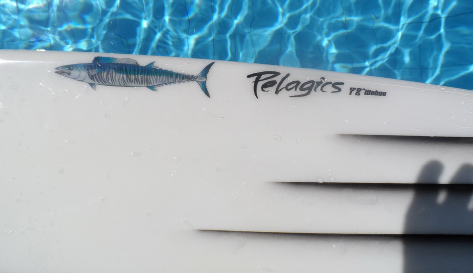 Photo: <a href=\"https://www.serfacademybali.com\" target=_blank>Matt George</a>