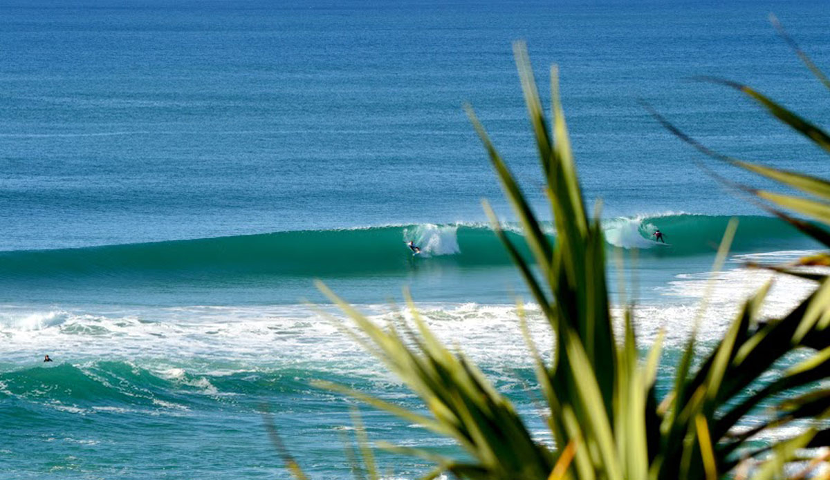 Sharing is caring, no matter which way you look at it. Photo: <a href=\"https://instagram.com/alexbenaud\">Alex Benaud