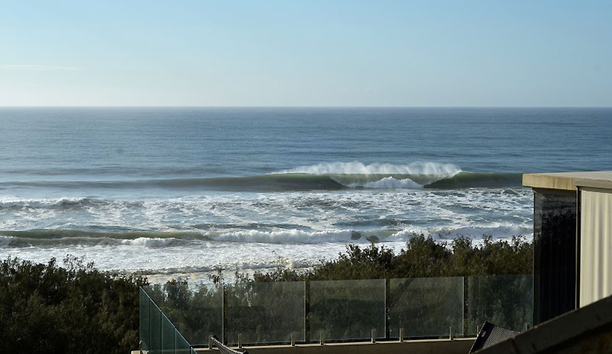 Not an unwelcome sight to stumble upon. Photo: <a href=\"https://instagram.com/alexbenaud\">Alex Benaud