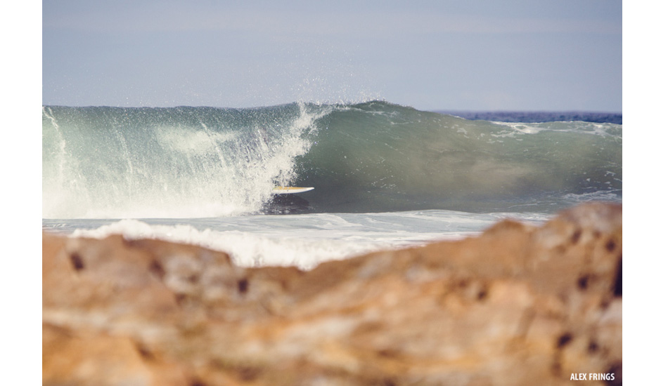 Taking a break from the hot sun. Image: <a href=\"https://www.alexfrings.com\" target=\"_blank\">Frings</a>