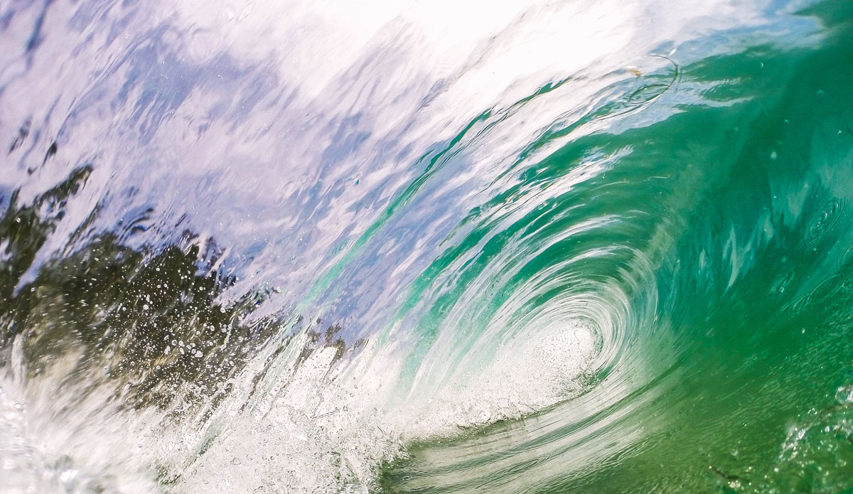 Photo: <a href=\"https://alexmortensen.com/\">Alex Mortenson</a>