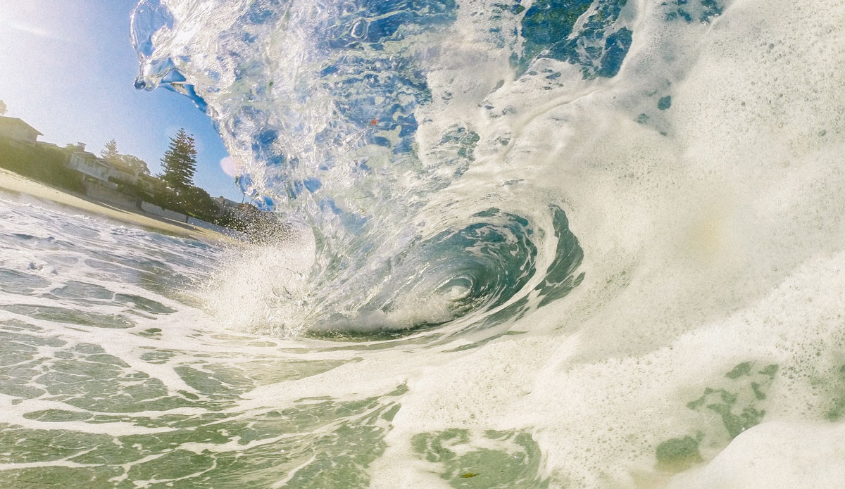 Photo: <a href=\"https://alexmortensen.com/\">Alex Mortenson</a>