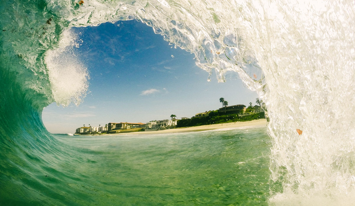 Photo: <a href=\"https://alexmortensen.com/\">Alex Mortenson</a>