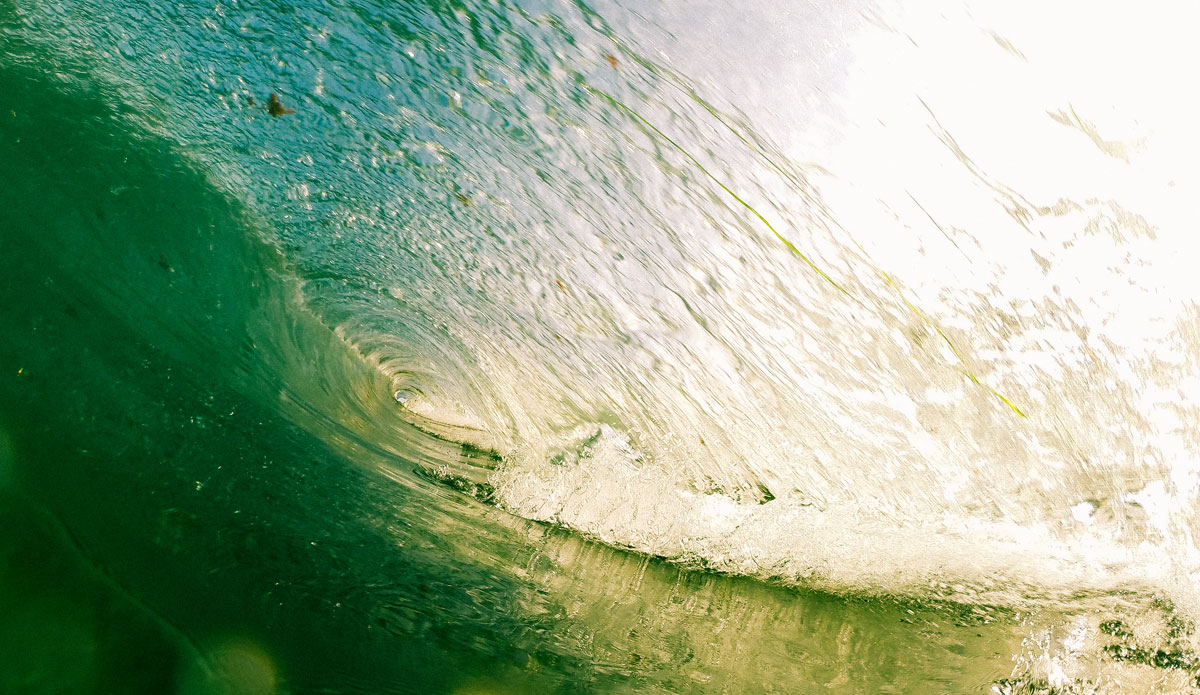 Photo: <a href=\"https://alexmortensen.com/\">Alex Mortenson</a>