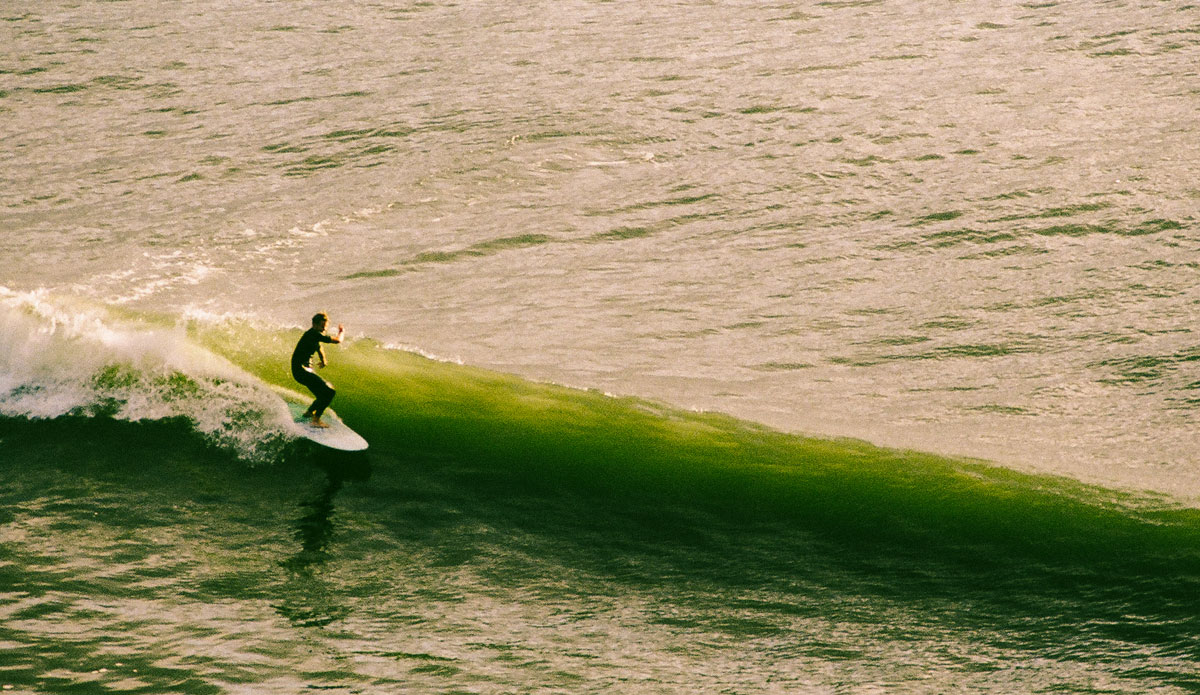 Photo: <a href=\"https://alexmortensen.com/\">Alex Mortenson</a>