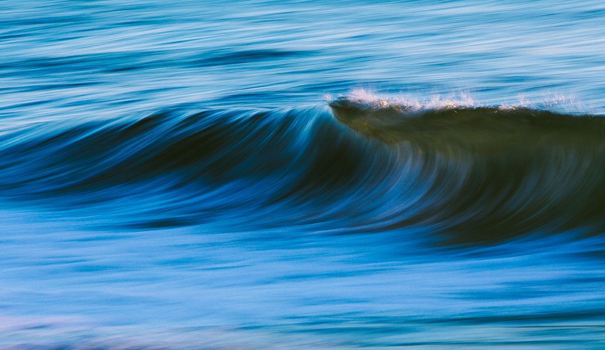 Photo: <a href=\"https://alexmortensen.com/\">Alex Mortenson</a>