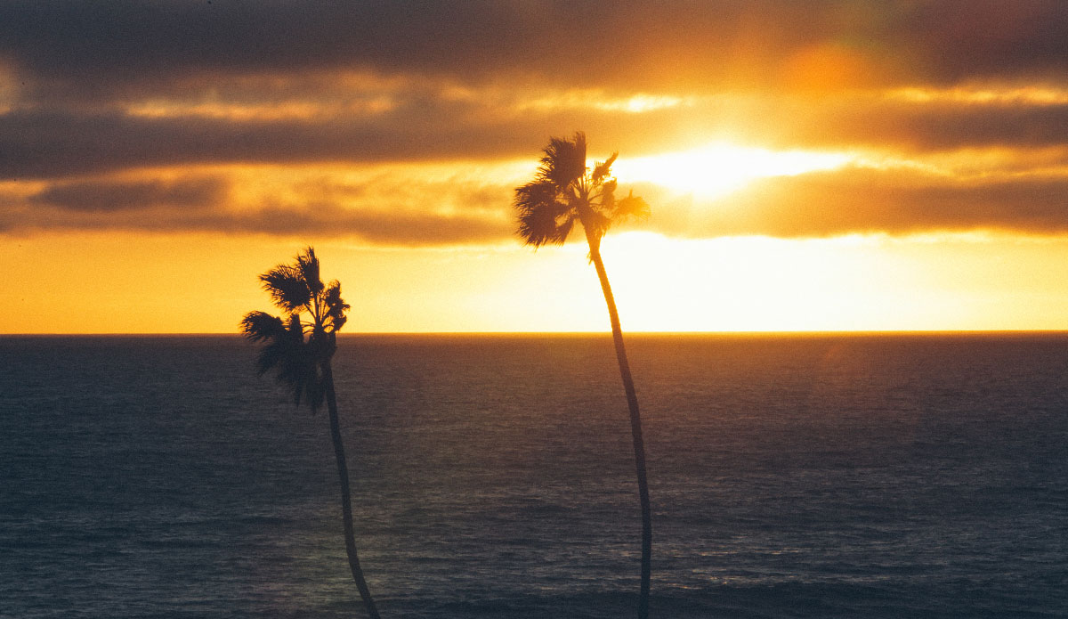 Photo: <a href=\"https://alexmortensen.com/\">Alex Mortenson</a>