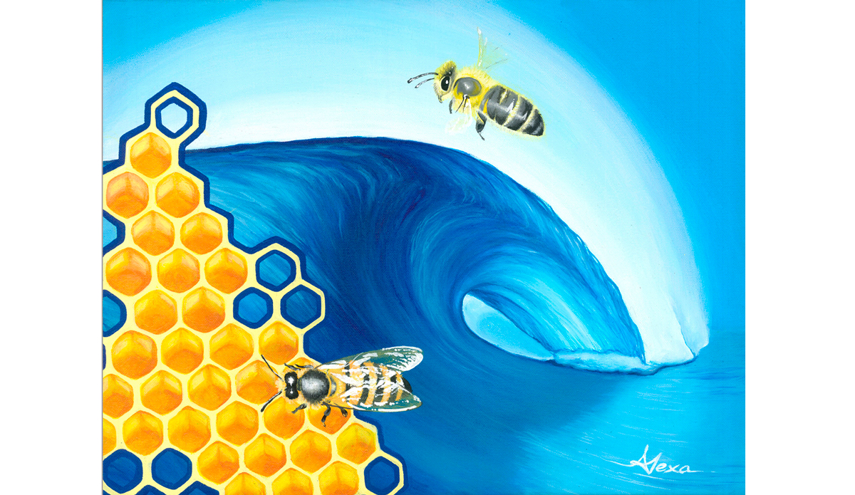 Bees In The Seas Photo: <a href=\"http://alexasmakinwaves.com/\">Alexa Caskey</a>